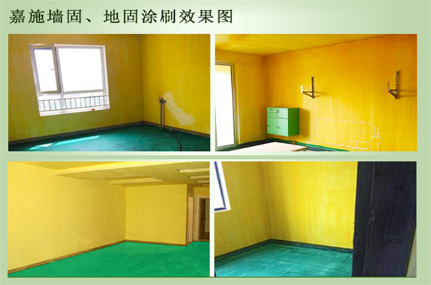什么时候涂刷墙固地固？