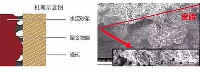 瓷砖粘结剂粘贴瓷砖牢固程度与什么有关？